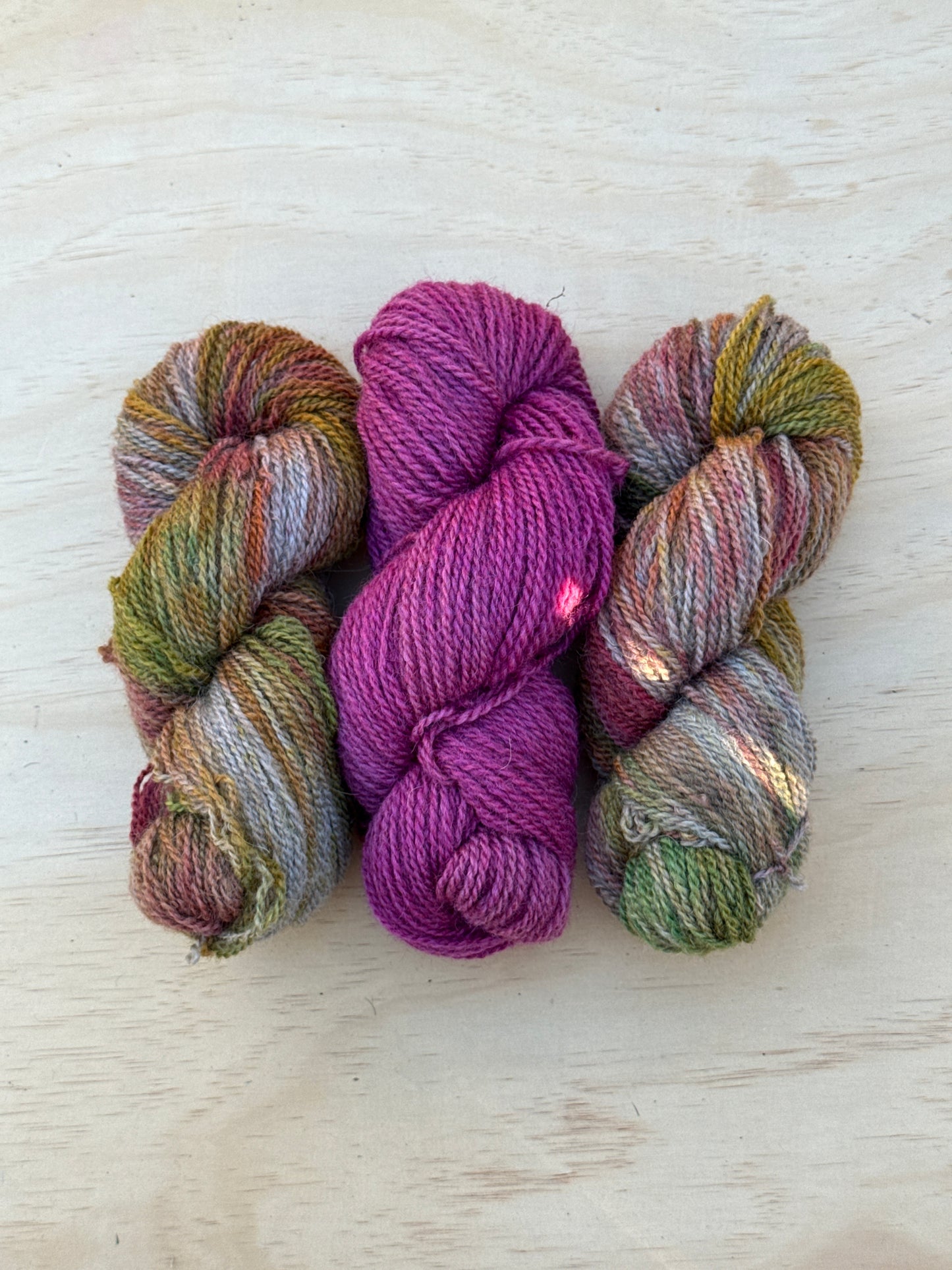 Antique Roses