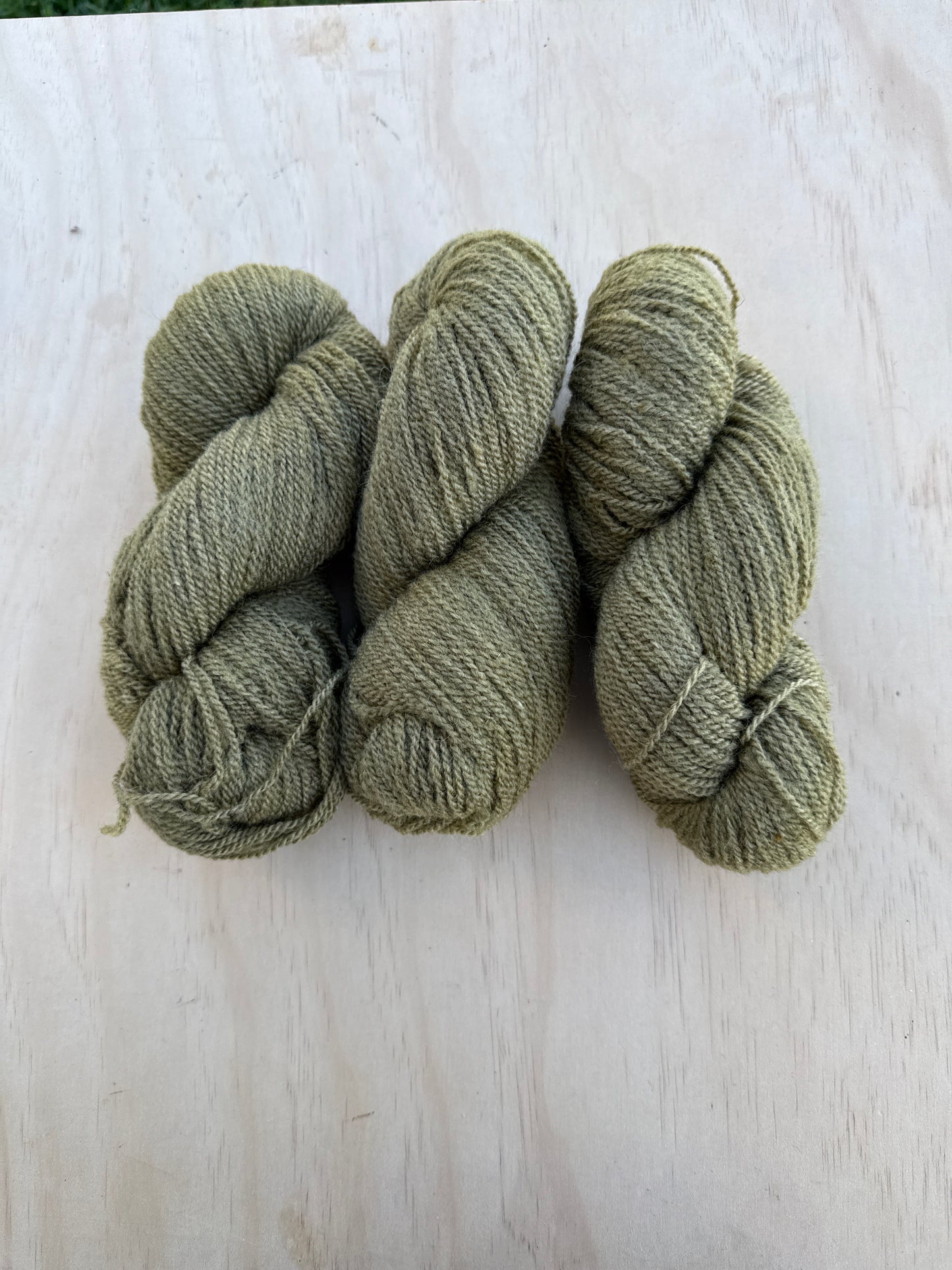 OLIVE