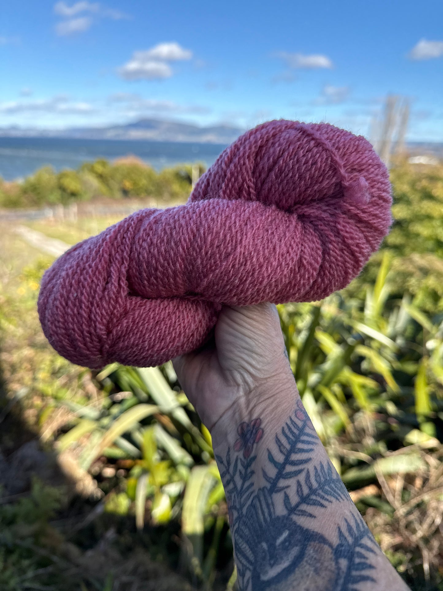 Rosy Posy