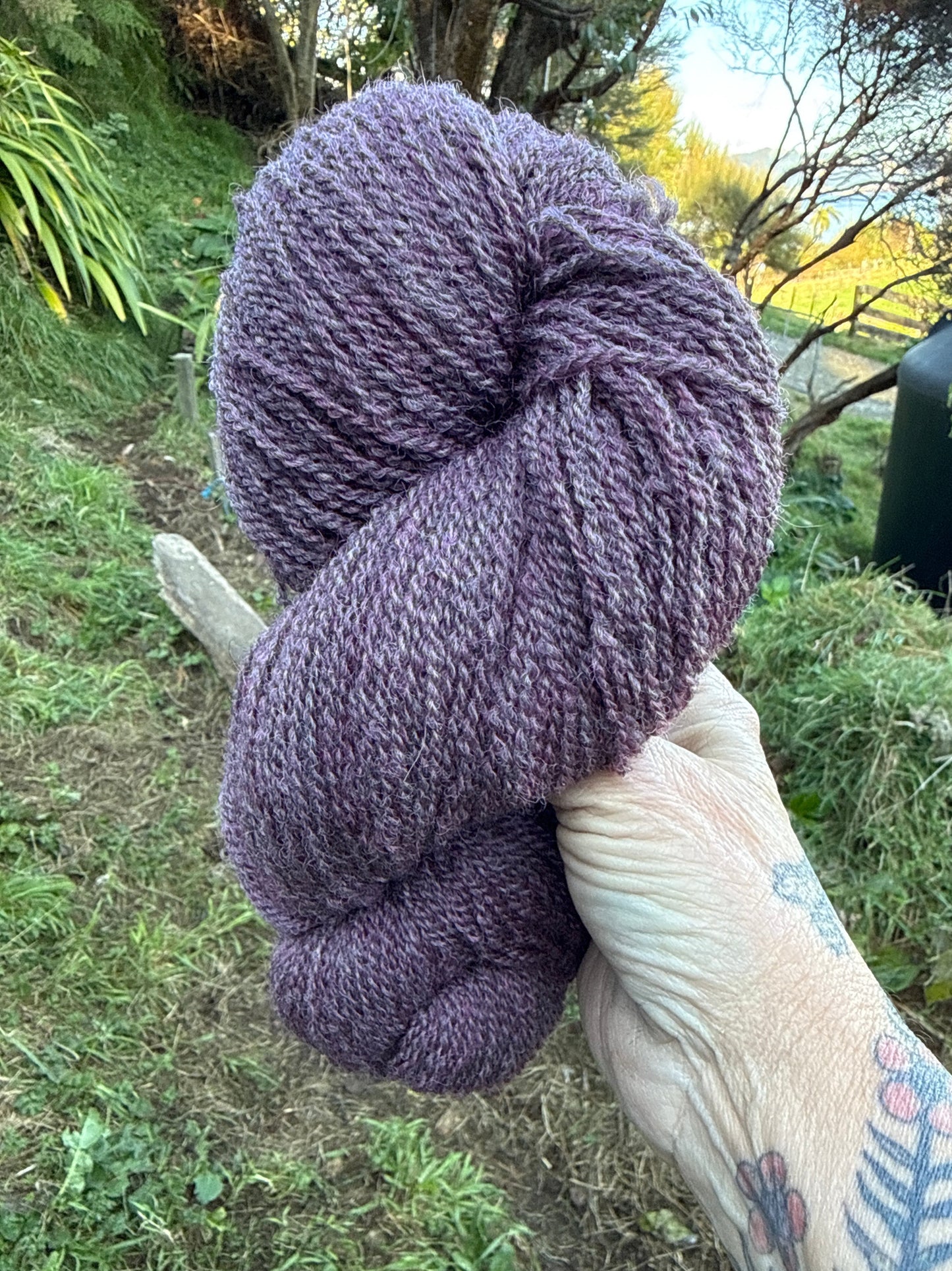 Purple Heather