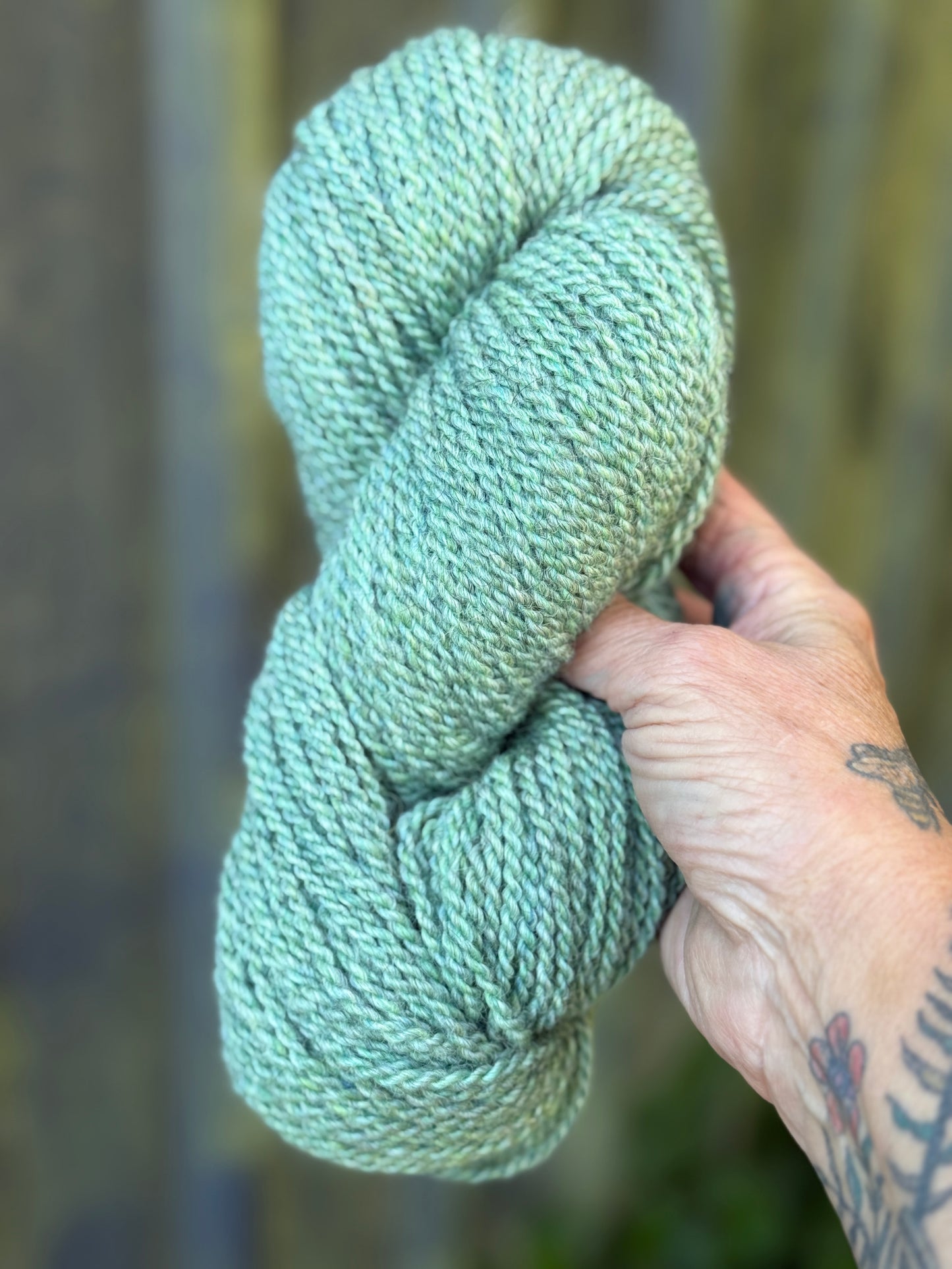 MOORGRASS