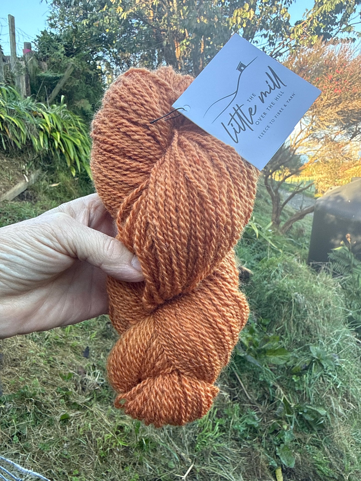Burnt Orange