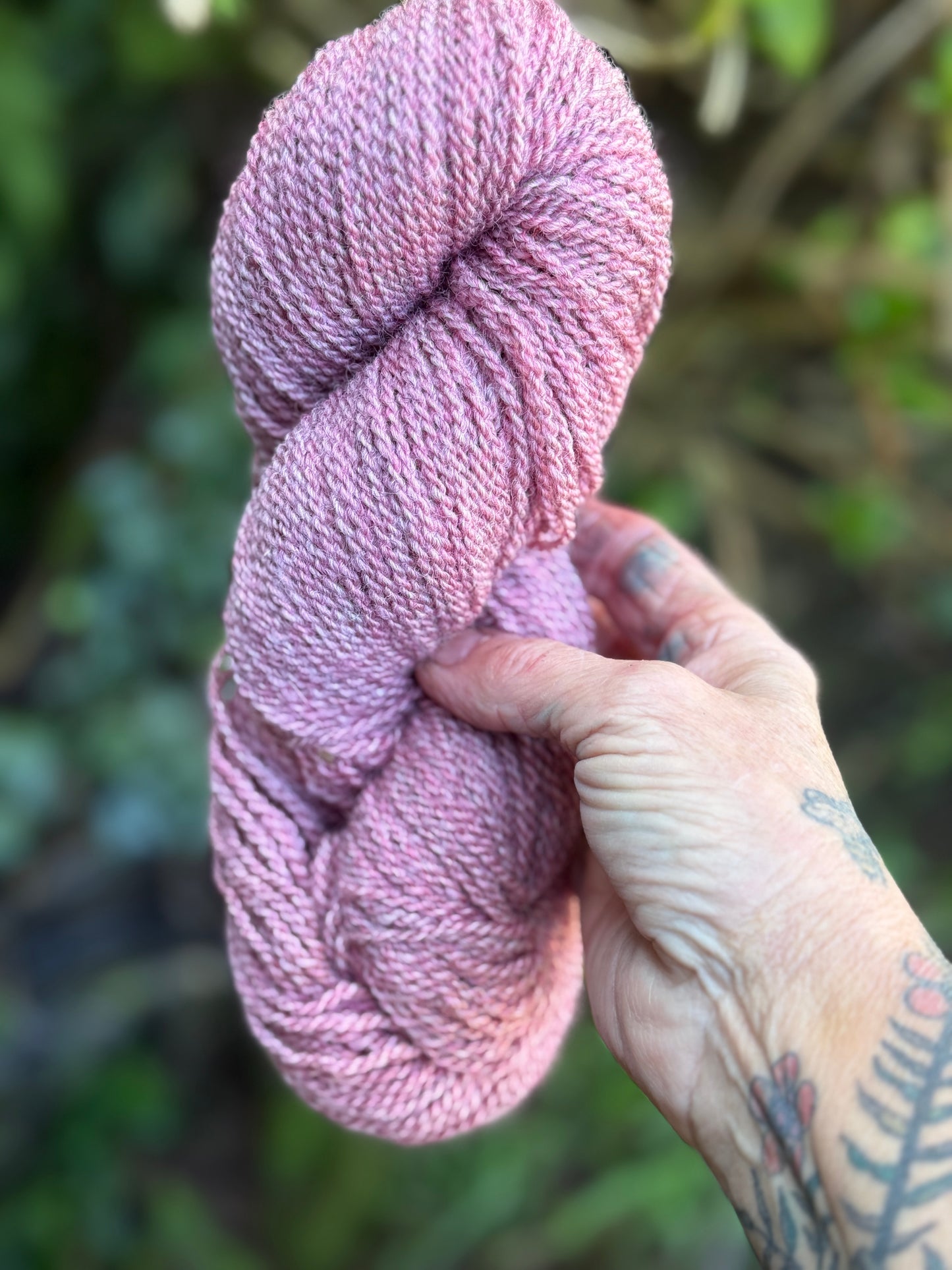 Blush Heather