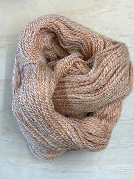 Apricot Sorbet