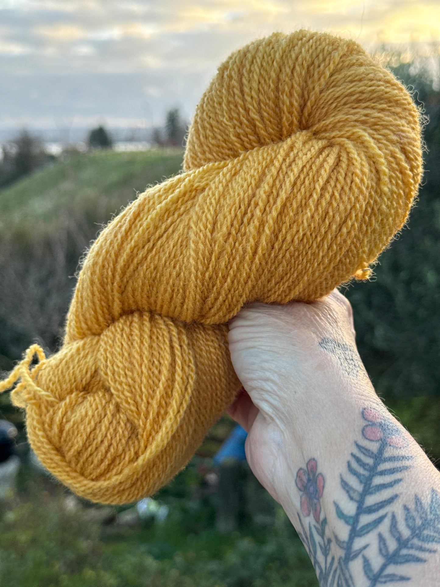 Marigold