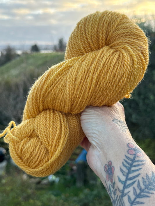 Marigold