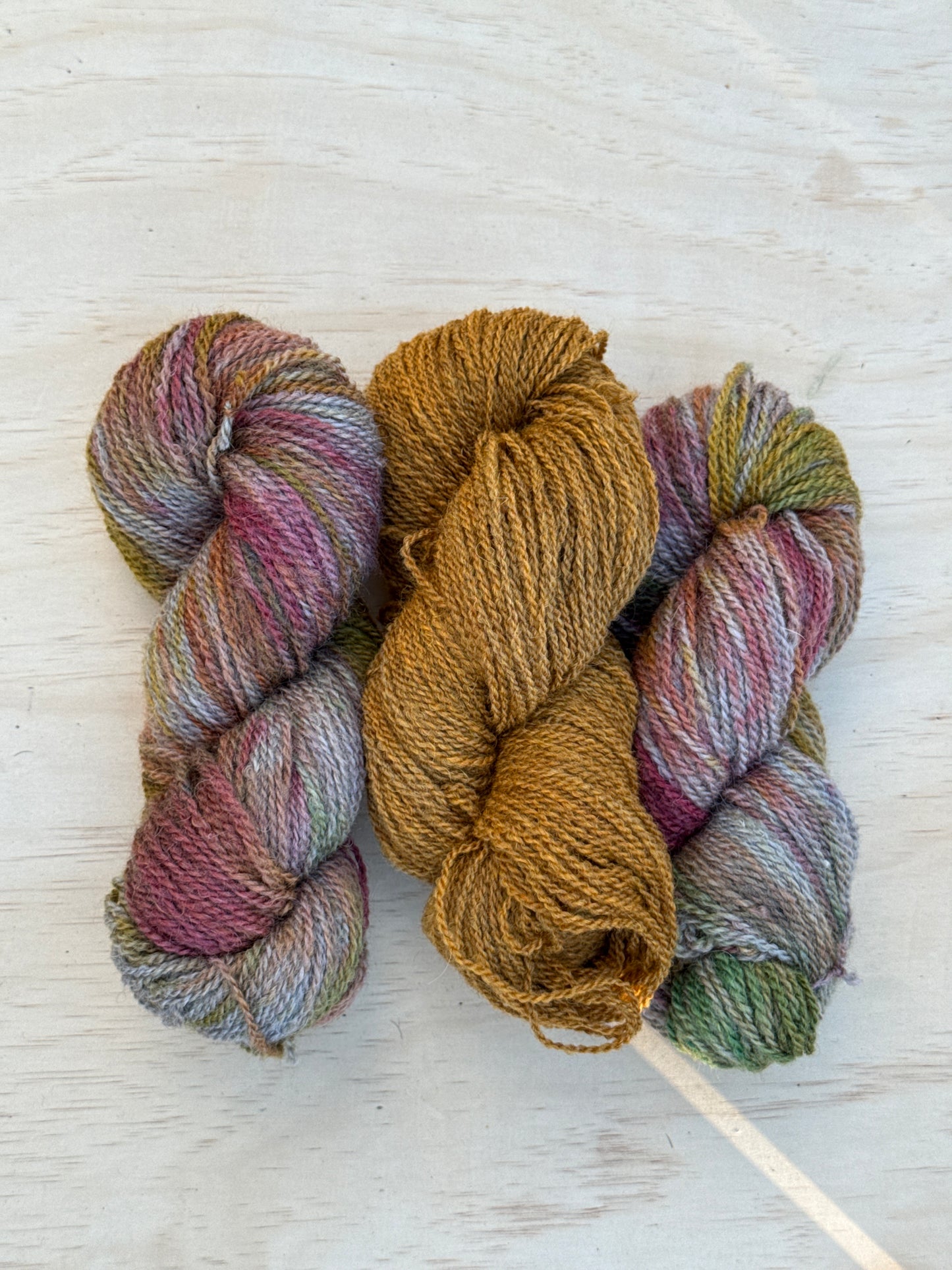 Antique Roses