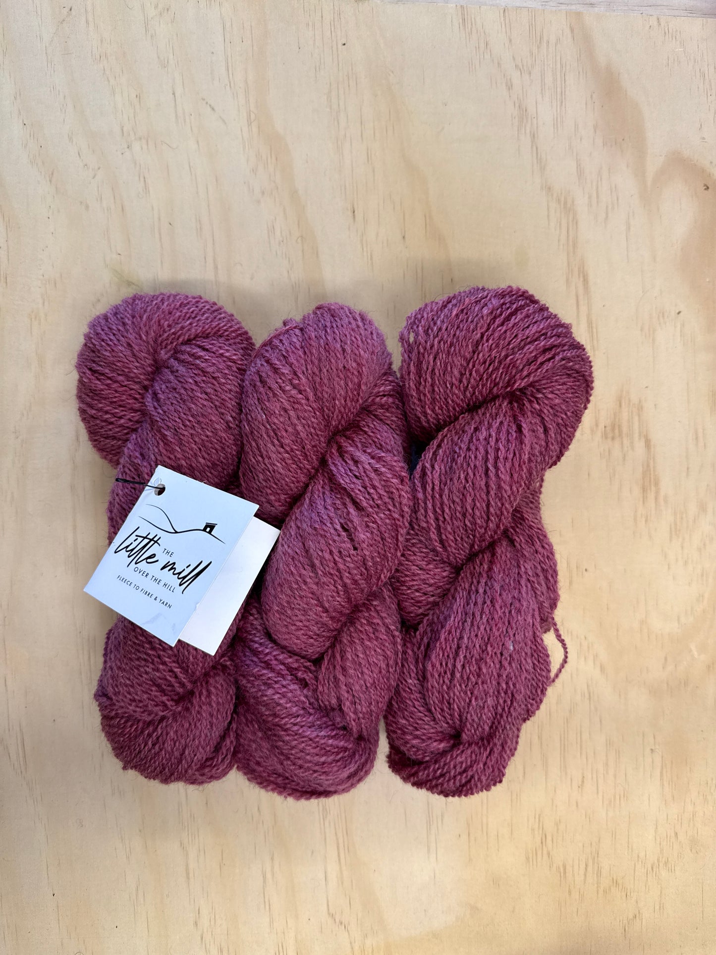 Dark Magnolia