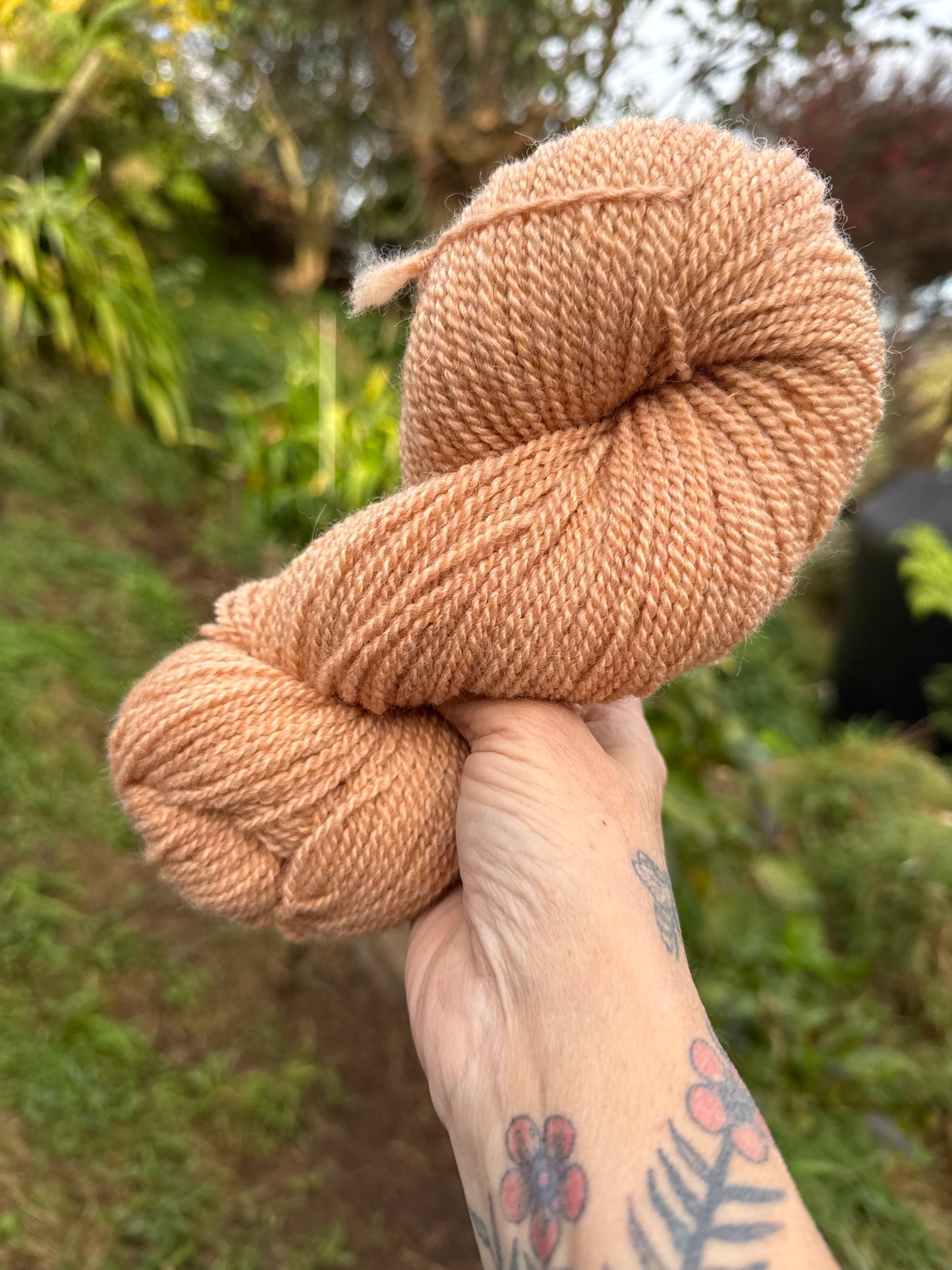 Dusty Apricot