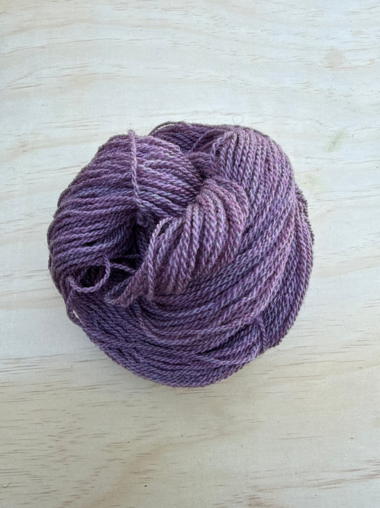 Purple Heather