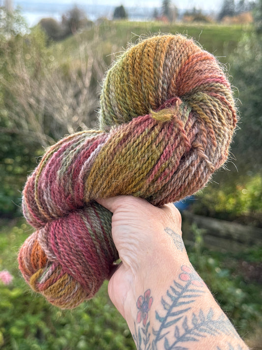 Antique Roses
