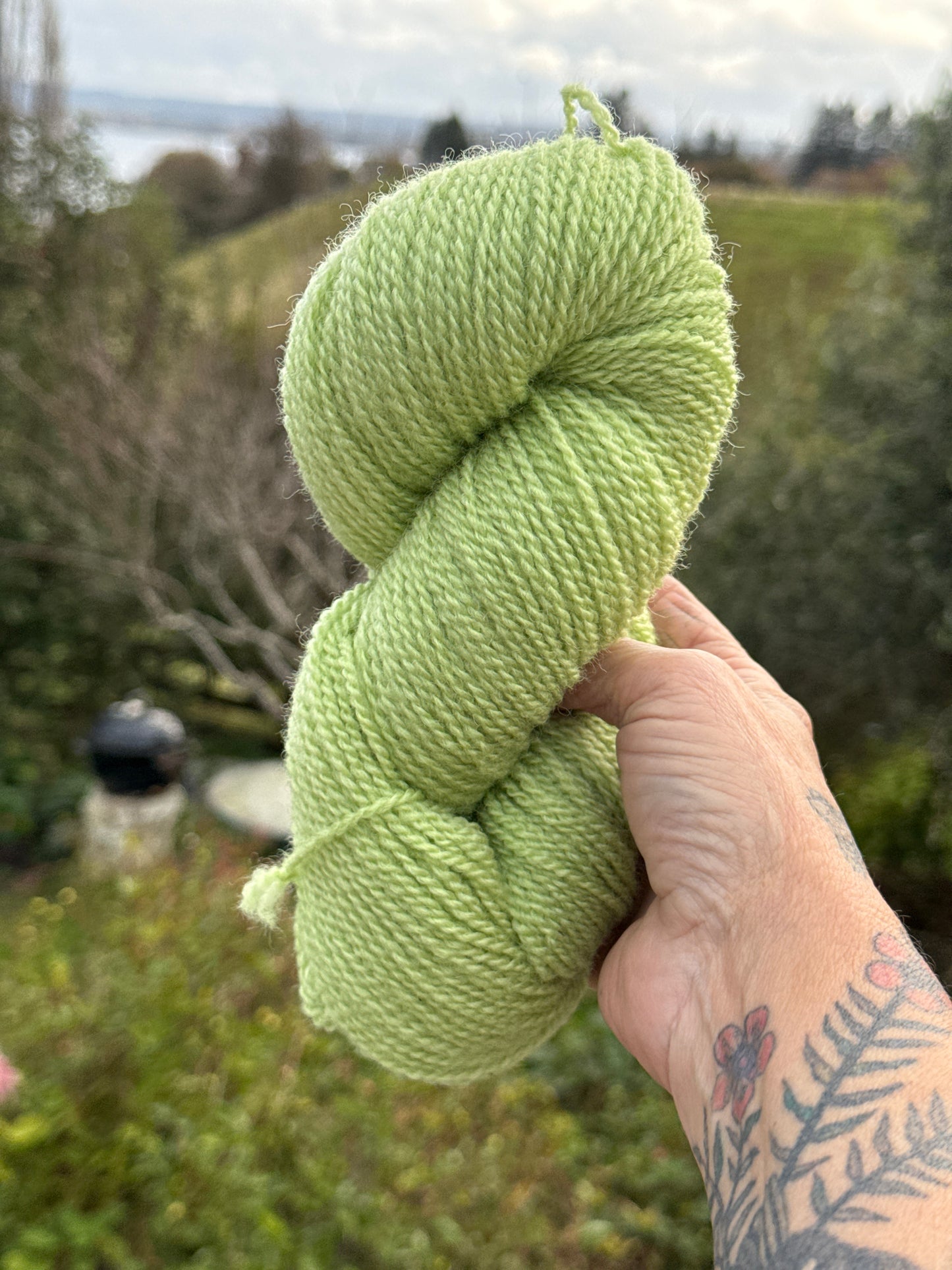 Lime